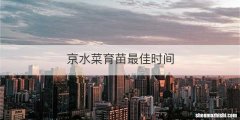 京水菜育苗最佳时间