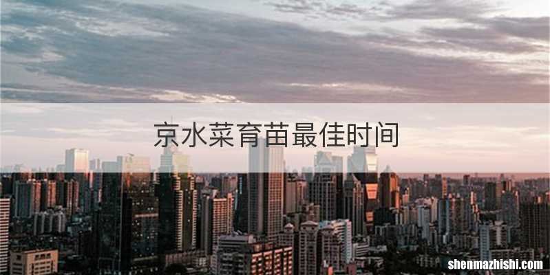 京水菜育苗最佳时间