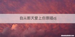 自从那天爱上你原唱dj