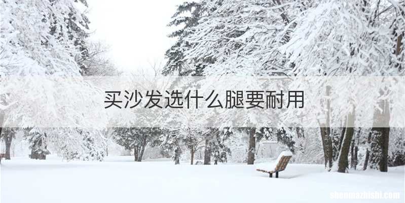 买沙发选什么腿要耐用