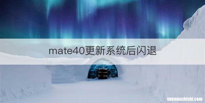 mate40更新系统后闪退