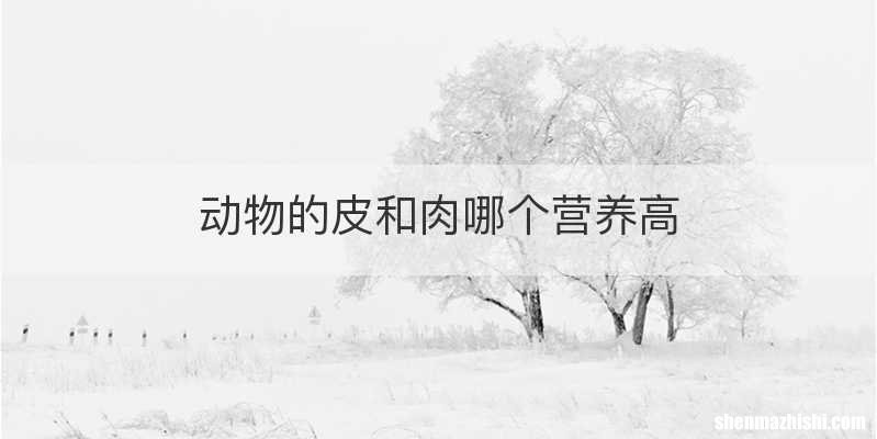 动物的皮和肉哪个营养高
