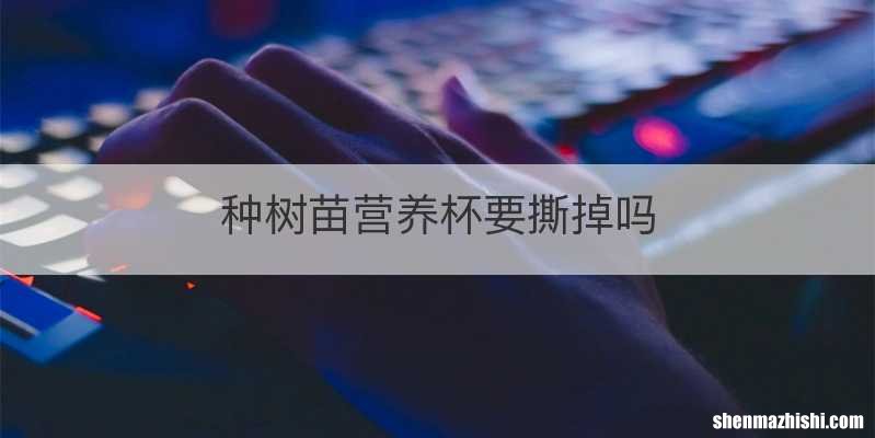 种树苗营养杯要撕掉吗