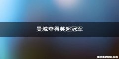 曼城夺得英超冠军