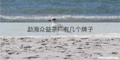 勐海众益茶厂有几个牌子