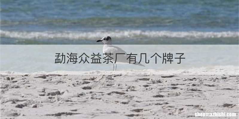 勐海众益茶厂有几个牌子