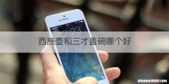 西施壶和三才盖碗哪个好
