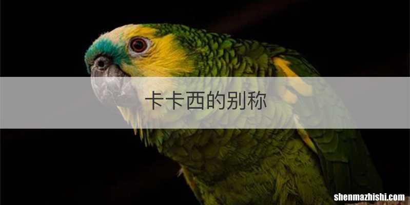 卡卡西的别称