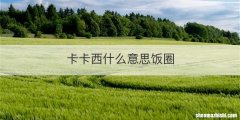 卡卡西什么意思饭圈