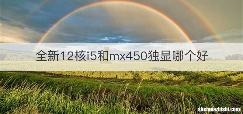 全新12核i5和mx450独显哪个好