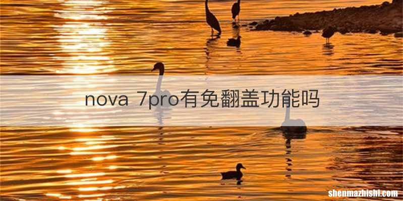 nova 7pro有免翻盖功能吗