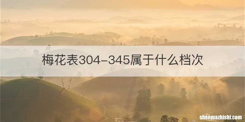 梅花表304-345属于什么档次