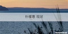 朴槿惠 现状