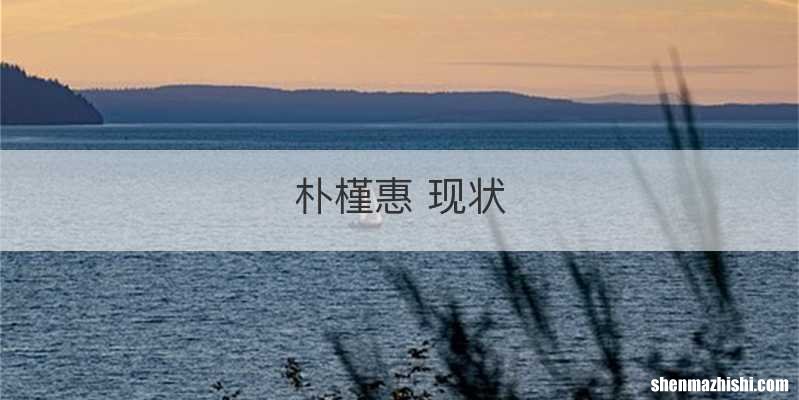 朴槿惠 现状