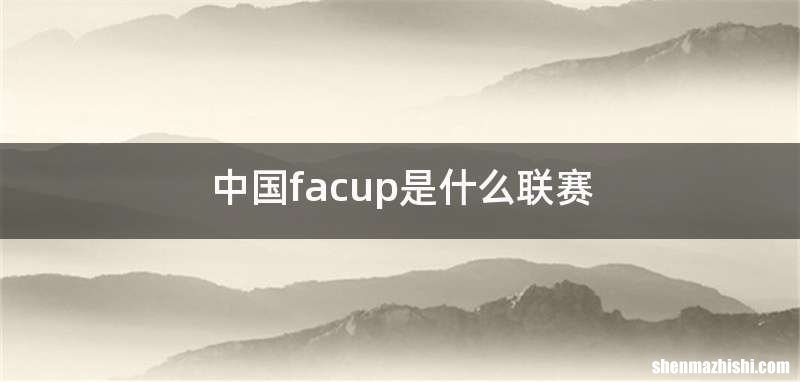 中国facup是什么联赛