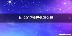 fm2017姆巴佩怎么样