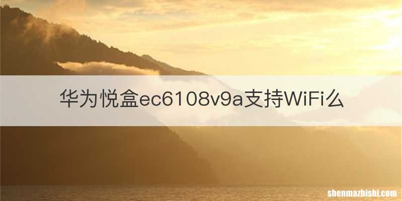华为悦盒ec6108v9a支持WiFi么