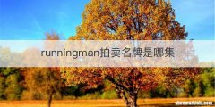 runningman拍卖名牌是哪集