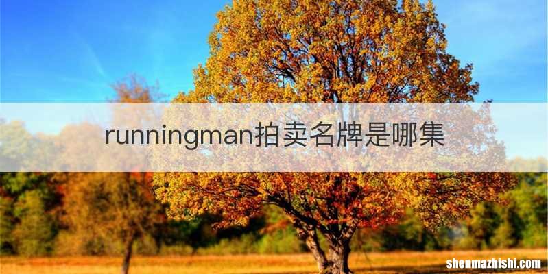 runningman拍卖名牌是哪集