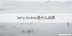 larry brukey是什么品牌