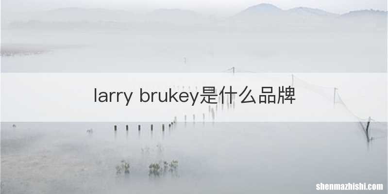 larry brukey是什么品牌