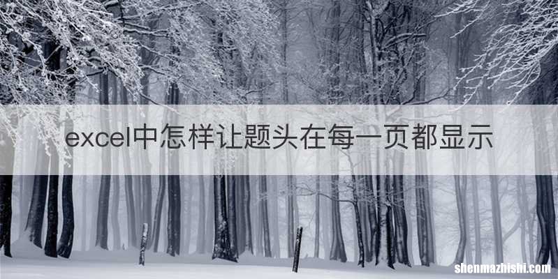excel中怎样让题头在每一页都显示