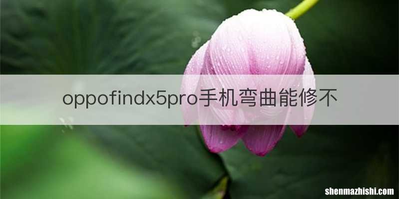 oppofindx5pro手机弯曲能修不