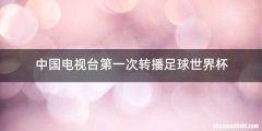 中国电视台第一次转播足球世界杯