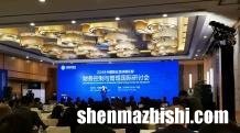 法甲工资帽