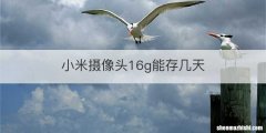小米摄像头16g能存几天