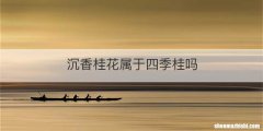 沉香桂花属于四季桂吗