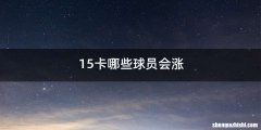 15卡哪些球员会涨