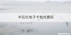 中石化电子卡有优惠吗
