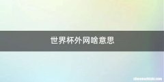 世界杯外网啥意思