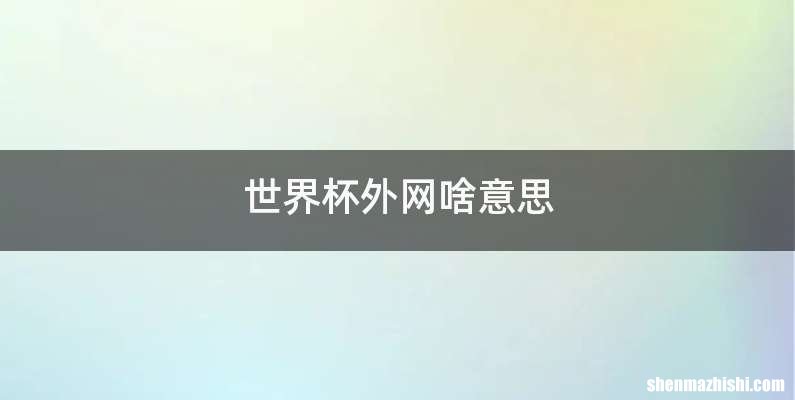 世界杯外网啥意思
