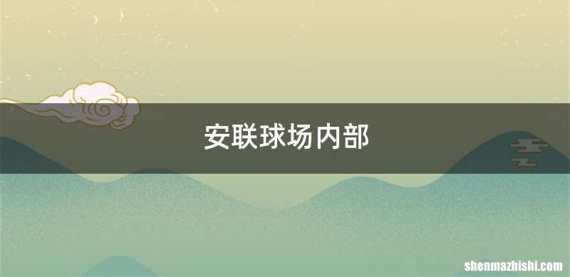 安联球场内部