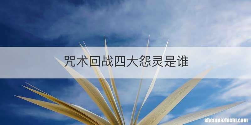 咒术回战四大怨灵是谁