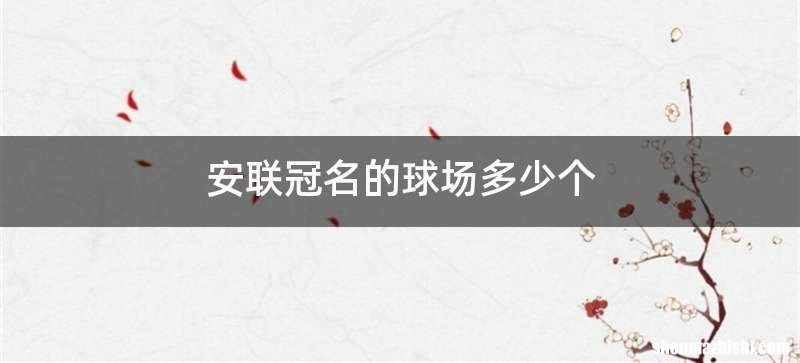 安联冠名的球场多少个