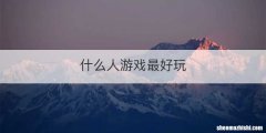 什么人游戏最好玩