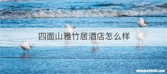 四面山雅竹居酒店怎么样