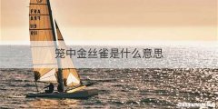 笼中金丝雀是什么意思