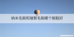 纳米毛刷和猪鬃毛刷哪个刷鞋好
