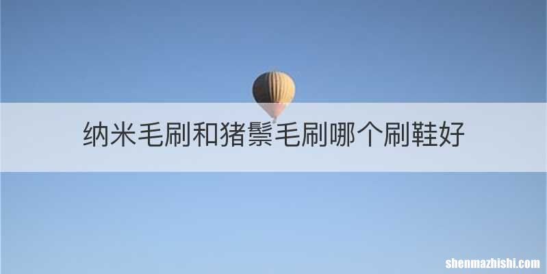 纳米毛刷和猪鬃毛刷哪个刷鞋好