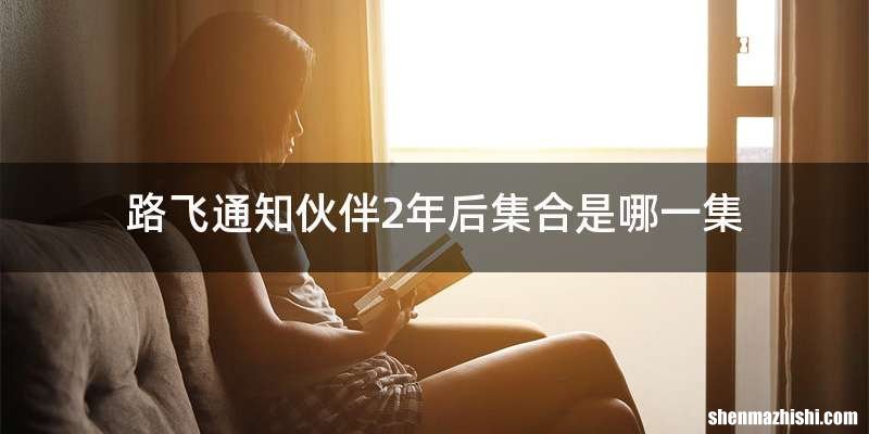 路飞通知伙伴2年后集合是哪一集