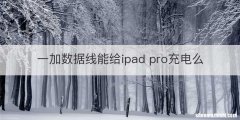 一加数据线能给ipad pro充电么