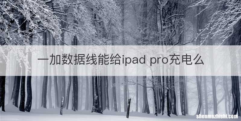 一加数据线能给ipad pro充电么