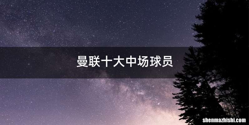 曼联十大中场球员