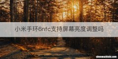 小米手环6nfc支持屏幕亮度调整吗
