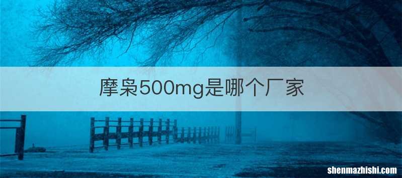 摩枭500mg是哪个厂家