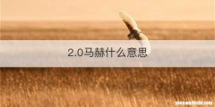 2.0马赫什么意思